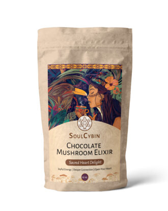 Chocolate Mushroom Elixir